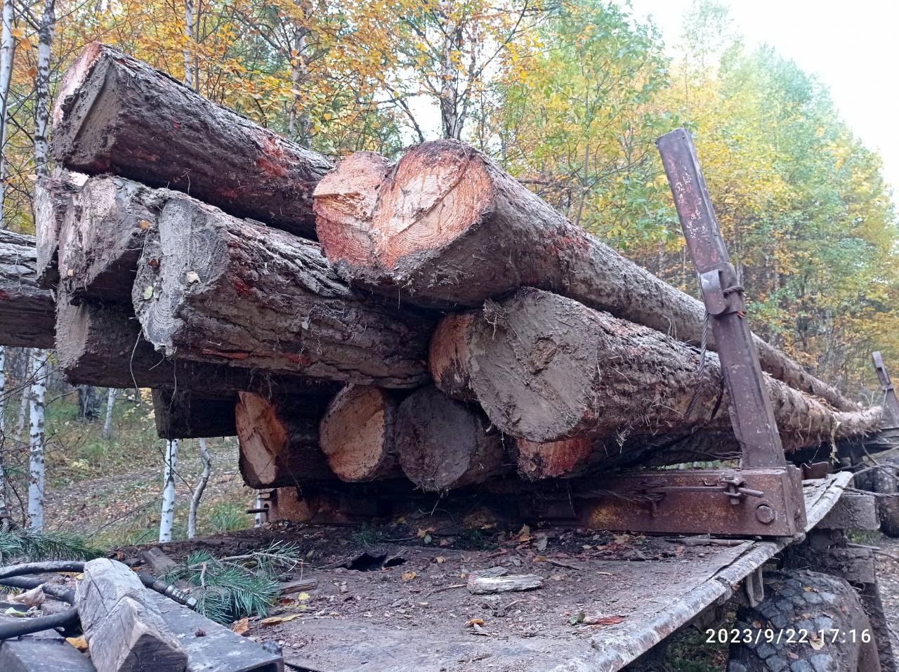 Заголовок
